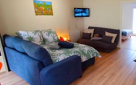 Appartement Avec Jardin - Centre-Ville A 10 Minutes A Pied